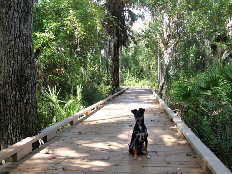 Caloosahatchee Creeks Preserve