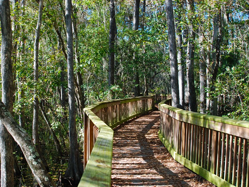 Shores Nature Trail Park