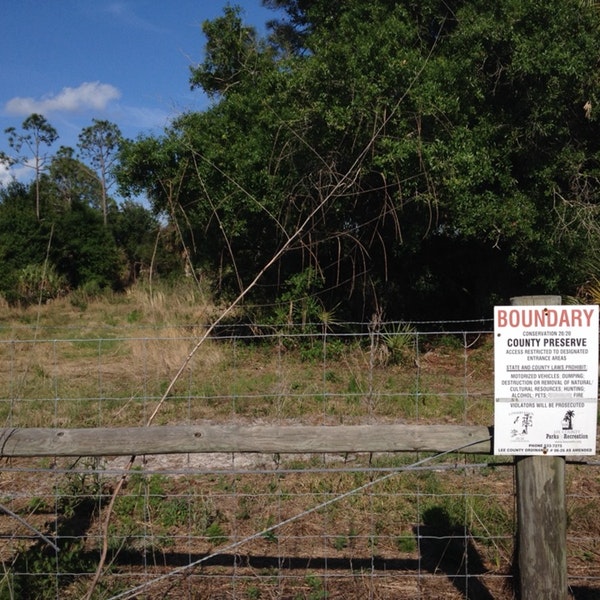 Yellow Fever Creek Preserve